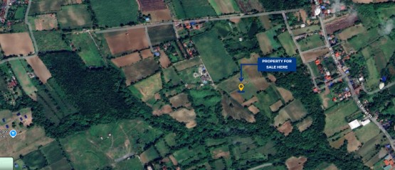 Rawland for sale in Tanauan, Batangas
